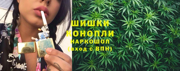 spice Каменка