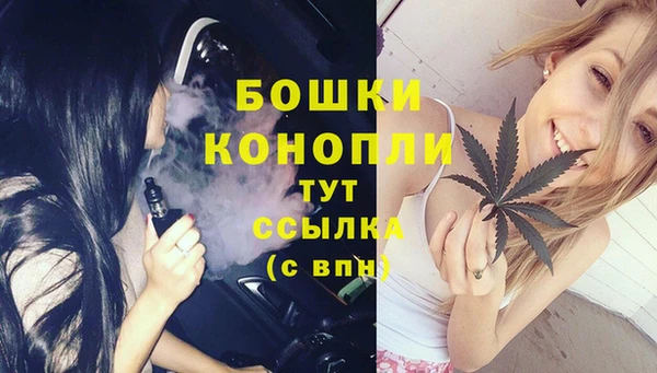 spice Каменка