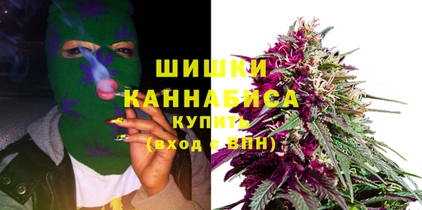 spice Каменка