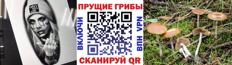 нарко площадка телеграм  Рубцовск  Псилоцибиновые грибы прущие грибы  наркота 