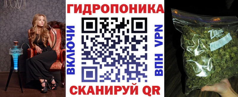 купить Рубцовск Каннабис SATIVA & INDICA